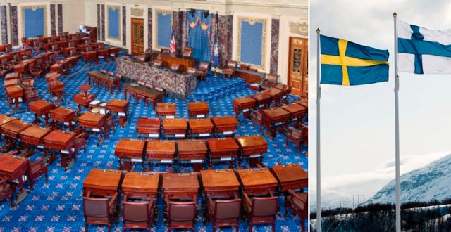 USA:s senat/Sveriges och Finlands flaggor. Wikimedia Commons/TT