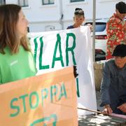 Naturskyddsföreningen håller en manifestation på torget i Lysekil. 