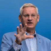 Carl Bildt. Arkivbild.