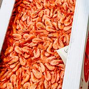 Räkor och havskräftor till försäljning i Göteborgs fiskeauktion. Arkivbild.