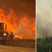 Brandmän bekämpar bränderna i San Bernardino. skogsbranden i Västmanland 2014.