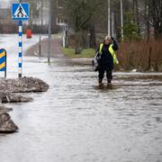 Bild från Hörby, 24 januari. 