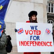 Demonstrant på den brexitpositiva sidan.