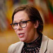 Ahmadreza Djalali / Utrikesminister Maria Malmer Stenergard (M).