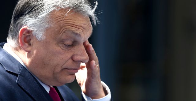 Ungerns president Viktor Orbán. Kenzo Tribouillard / TT NYHETSBYRÅN