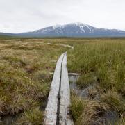  Myrmarkerna i Stordalens naturreservat strax söder om Abisko. 