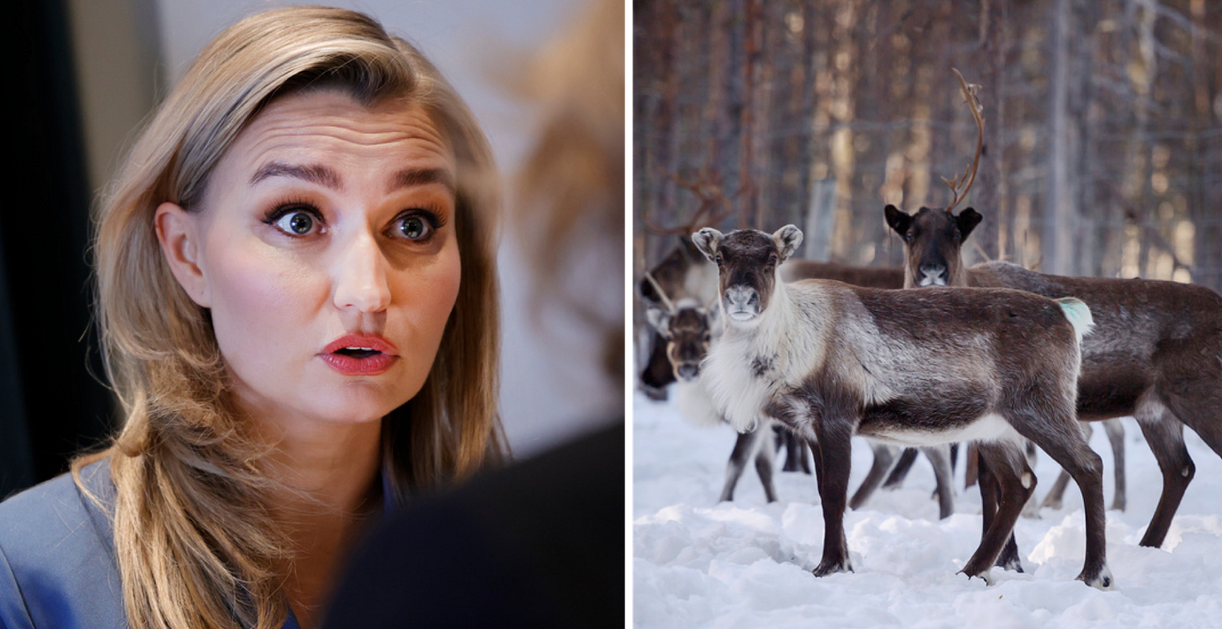 Ebba Busch (KD) vill minska rennäringen.