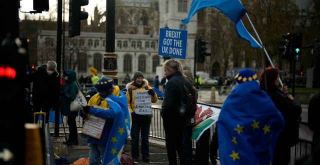 Protester mot brexit, 8 december.  Matt Dunham / AP