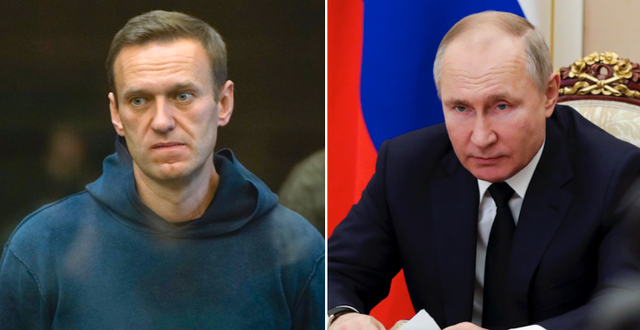 Navalnyj och Putin. TT