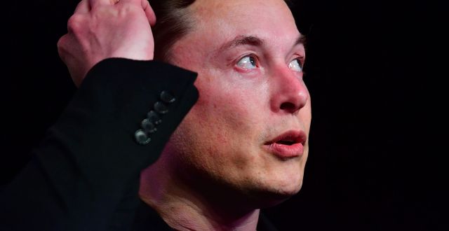 Elon Musk FREDERIC J. BROWN / AFP