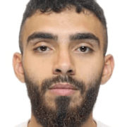 Rikspolischef Petra Lundh / Ali Shebab