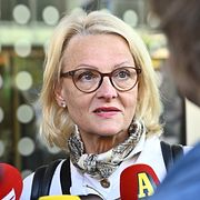 EU-parlamentarikern Heléne Fritzon (S).