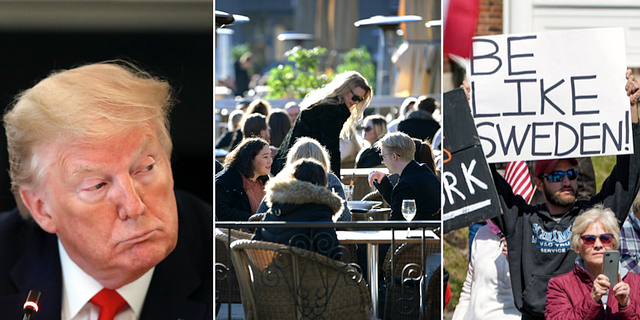 Donald Trump / Uteservering på Medborgarplatsen i Stockholm / Demonstranter protesterar i Saint Paul i delstaten Minnesota TT