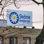 Skånemejerier, arkivbild.