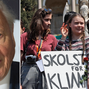 David Attenborough/Greta Thunberg.