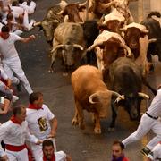 Tjurrusning under San Fermín-festivalen i Pamplona.