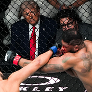 Donald Trump på MMA-match tillsammans med utrikesminister Marco Rubio.