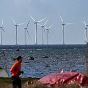 De 48 havsbaserade vindkraftverken i Öresund i mars 2025.
