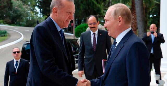Erdogan och Putin. Arkivbild. Vyacheslav Prokofyev / AP