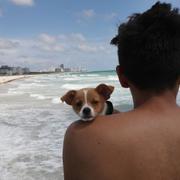 Erick Amador och hunden Barry på Miami Beach inför orkanen Irmas ankomst. 