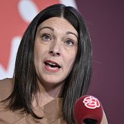 Socialdemokraternas rättspolitiska talesperson Teresa Carvalho.