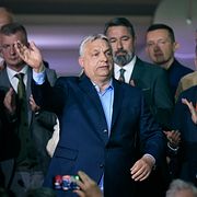 Orbán på valnatten.