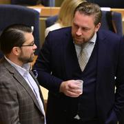 Jimmie Åkesson och Mattias Karlsson.