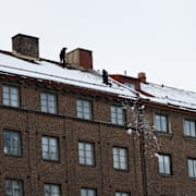 Snöskottning av lägenhetshus i Göteborg.