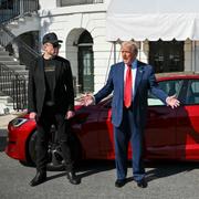 Musk, Trump och Teslan.