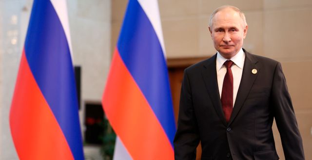 Vladimir Putin. Sergei Bobylev / AP