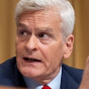 Senatorn Bill Cassidy.