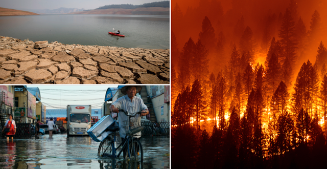 Bilder från torka, översvämningar och bränder i klimatförändringarnas spår. TT