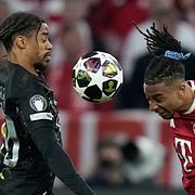 PSG:s Bradley Barcola Bayerns Michael Olise.