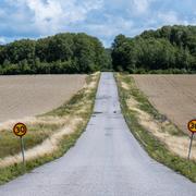 En väg i Nynäshamns kommun söder om Stockholm. I närheten hittades en pojke mördad i en skogsdunge på lördagskvällen den 29 juli 2023.
