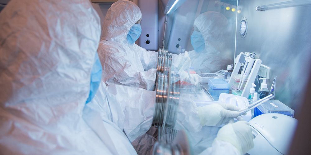En bild som laboratoriet i Irkutsk släppte 2019.