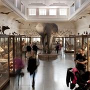 Interiör från Naturhistoriska museet i Göteborg. Arkivbild