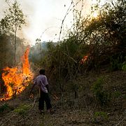 En medlem av Pakanyo-folket står vid en eld i skyddad skogsmark i Chiang Mai-provinsen i Thailand den 22 april 2024. Gruppen har länge använt kontrollerade bränder, men anklagas av stadsbor för att bidra till luftföroreningar och skogsskador.