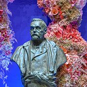 Byst av Alfred Nobel vid Nobelprisutdelningen i Konserthuset i Stockholm, Sverige, 10 december, 2025.