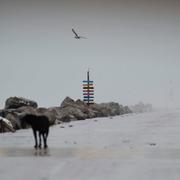 En övergiven pir i Miramar, Mexiko, under årets första tropiska storm Alberto den 19 juni 2024. 