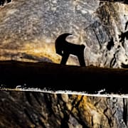  Interiör från Falu Gruva som finns med på Unescos världsarvslista.