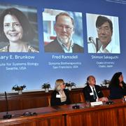 Gunilla Karlsson Hedestam och Olle Kämpe, ledamöter i Nobelförsamlingen vid Karolinska Institutet, och Marie Wahren-Herlenius, professor i reumatologi Karolinska Institute vid tillkännagivandet av årets Nobelpris i medicin eller fysiolog. Mary E Brunkow, Fred Ramsdell och Shimon Sakaguchi tilldelas årets Nobelpris i medicin eller fysiologi. 