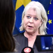 Socialtjänstminister Camilla Waltersson Grönvall. 