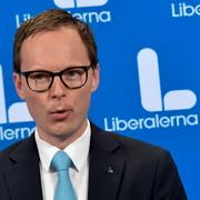 Liberalernas ekonomisk-politiske talesperson Mats Persson.