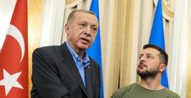 Turkiets president Erdogan och Ukrainas Zelenskyj.  Evgeniy Maloletka / AP