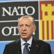 Turkiets president Recep Tayyip Erdogan vid Natomötet i Madrid 30 juni förra året då trepartsavtalet mellan Sverige, Finland och Turkiets slöts. Avtalet handlar om att Turkiet godkänner att de nordiska länderna ansökt om till Natomedlemskap och att Sverige och Finland ska uppfylla vissa villkor.
