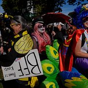 Under protesterna kommer många utklädda till superhjältar, skurkar, olika djur, kungar eller karaktärer. På många sätt liknas demonstrationen vid en karneval.