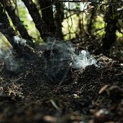 Gräsbrand. Illustrationsbild.