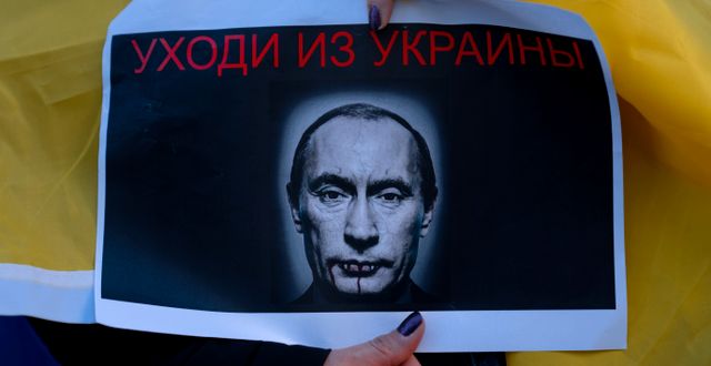 Demonstrant bär skylt med texten: ”Lämna Ukraina” Oded Balilty / AP