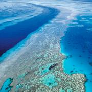 Stora barriärrevet utanför Australiens östkust.