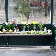 Blommor och ljus i en busskur under torsdagen efter att en man i 18-årsåldern blev skjuten på en buss vid platsen i onsdags och senare dog, i Tyresö utanför Stockholm.